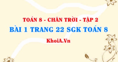 Bài 1 trang 22 Toán 8 Chân trời sáng tạo Tập 2